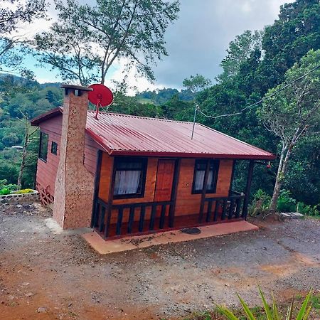 Las Bromelias Lodge Paso Macho Exterior foto